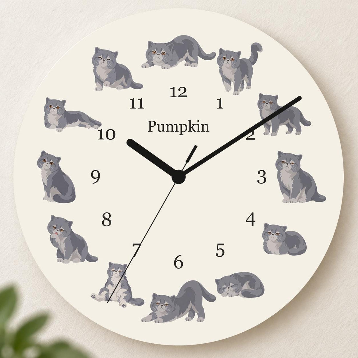 Personalized Exotic Shorthair Cat wooden wall clock with example name Pumpkin; hero