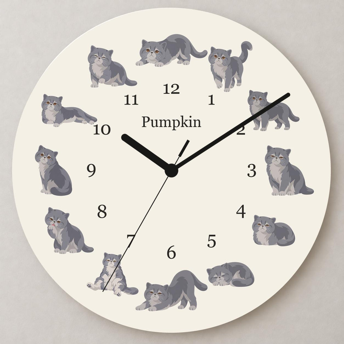 Personalized Exotic Shorthair Cat wooden wall clock with example name Pumpkin; close up