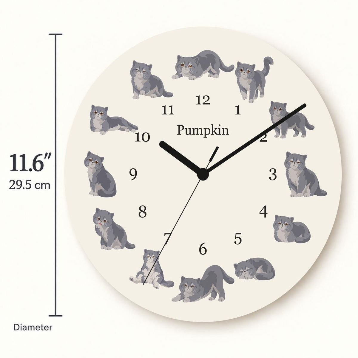 Personalized Exotic Shorthair Cat wooden wall clock with example name Pumpkin; size