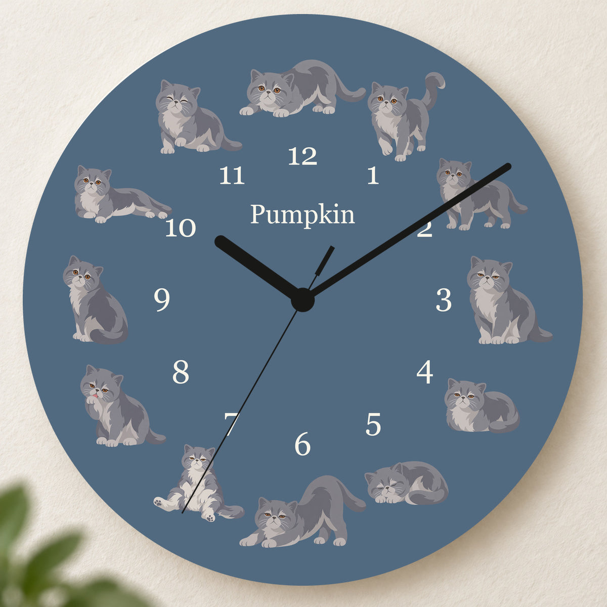 Personalized Exotic Shorthair Cat Wall Clock, Custom Pet Name, 11.6 Inch Wooden Clock — Muted Denim background