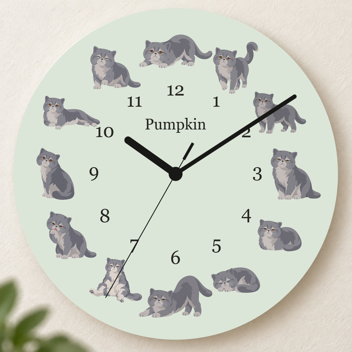 Personalized Exotic Shorthair Cat Wall Clock, Custom Pet Name, 11.6 Inch Wooden Clock — Pale Sage background