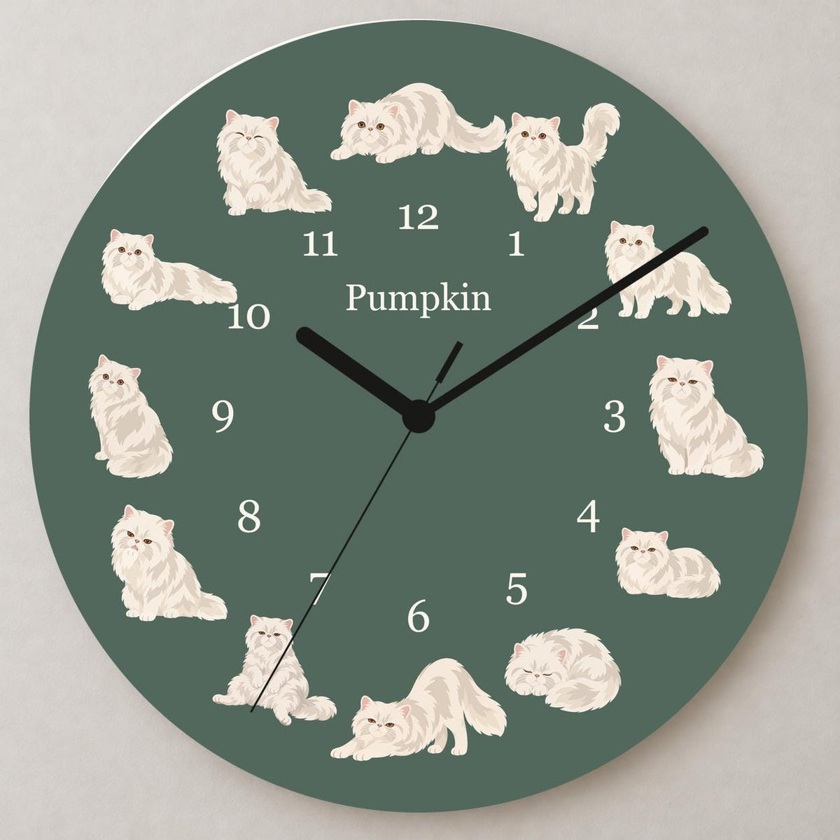Personalized Persian Cat wooden wall clock with example name Pumpkin; close up