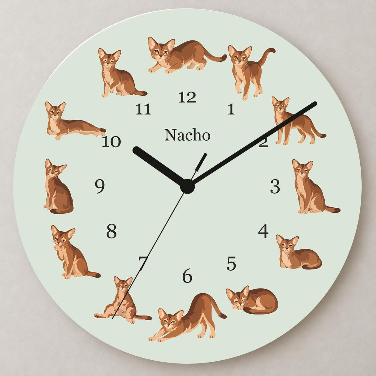 Personalized Abyssinian Cat wooden wall clock with example name Nacho; close up