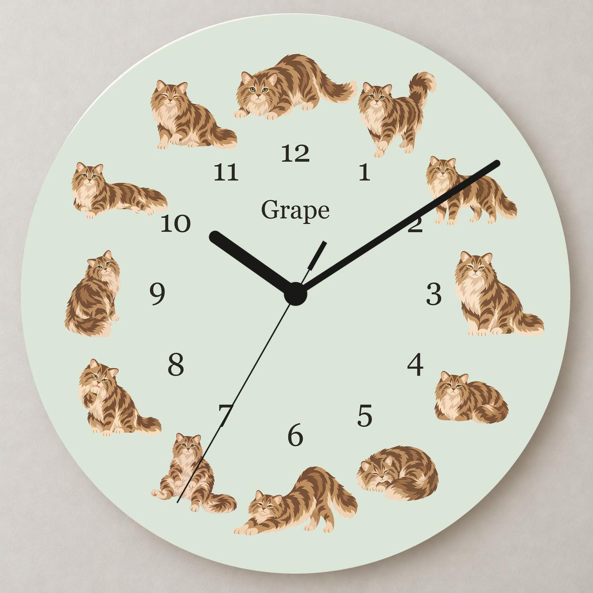 Personalized Siberian Cat wooden wall clock with example name Grape; close up