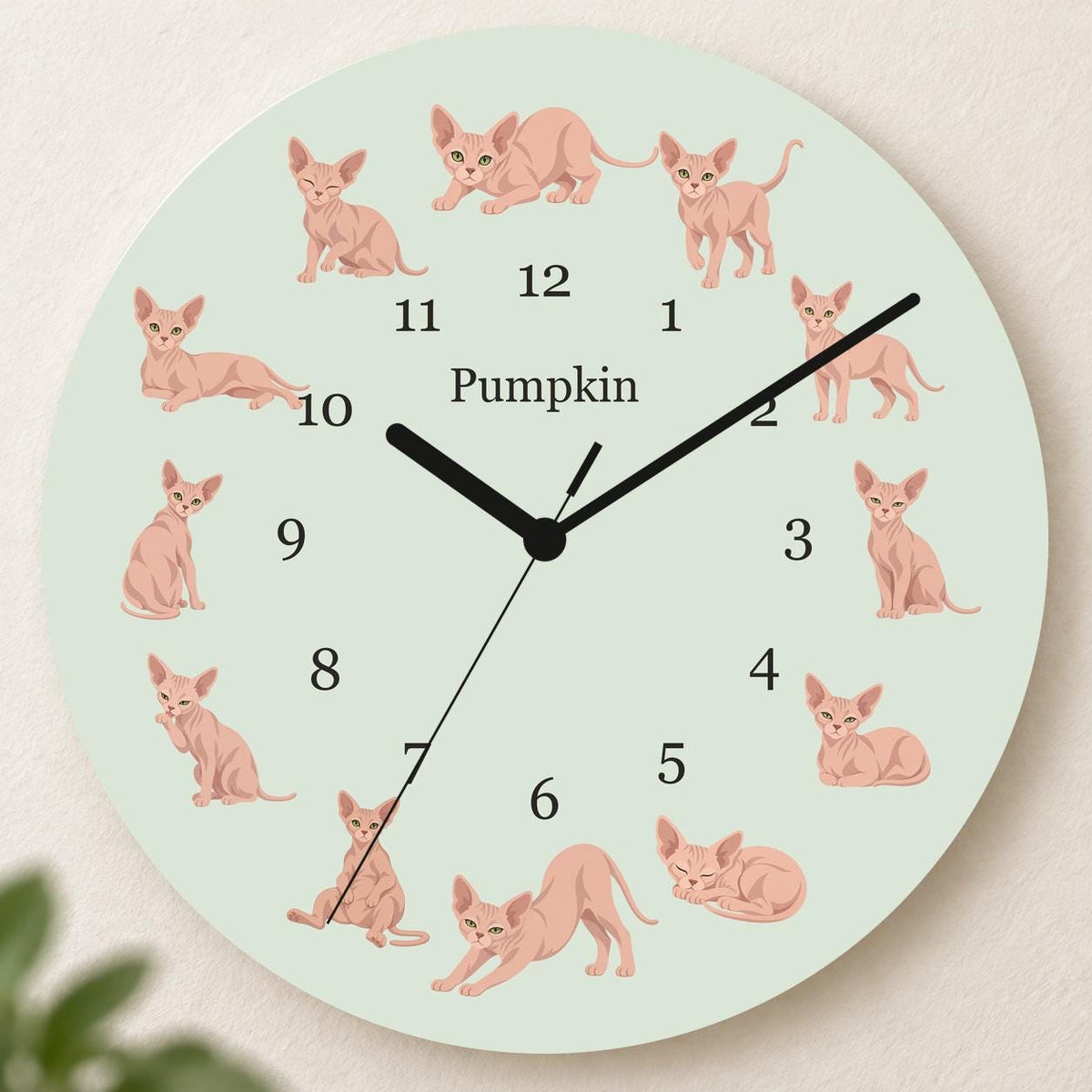 Personalized Sphynx Cat wooden wall clock with example name Pumpkin; hero