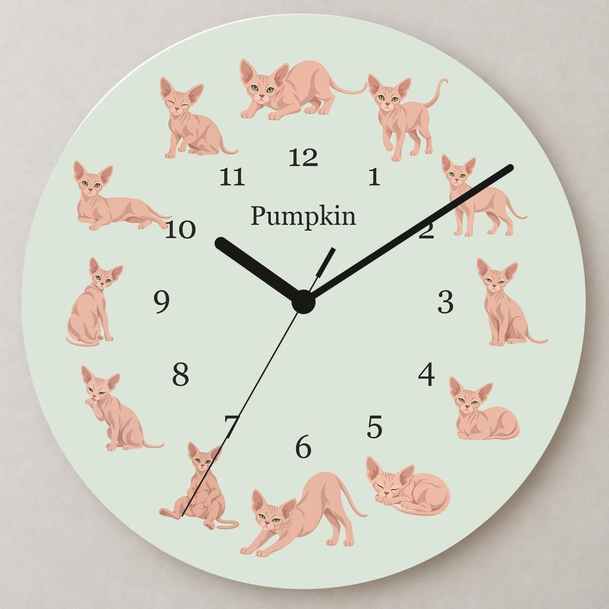 Personalized Sphynx Cat wooden wall clock with example name Pumpkin; close up