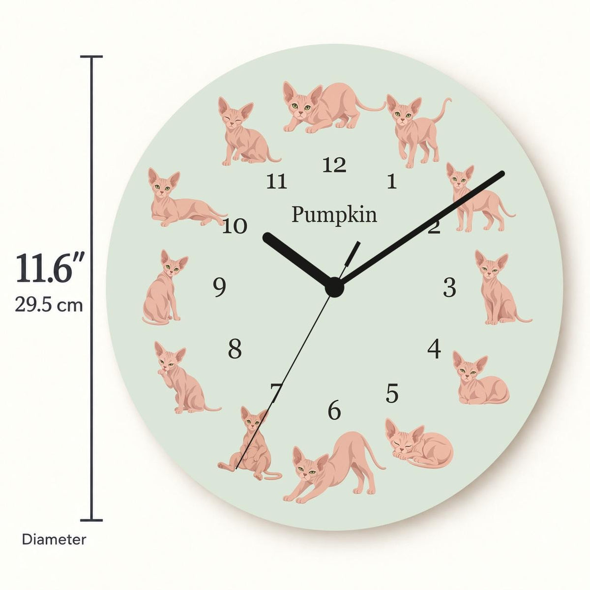 Personalized Sphynx Cat wooden wall clock with example name Pumpkin; size
