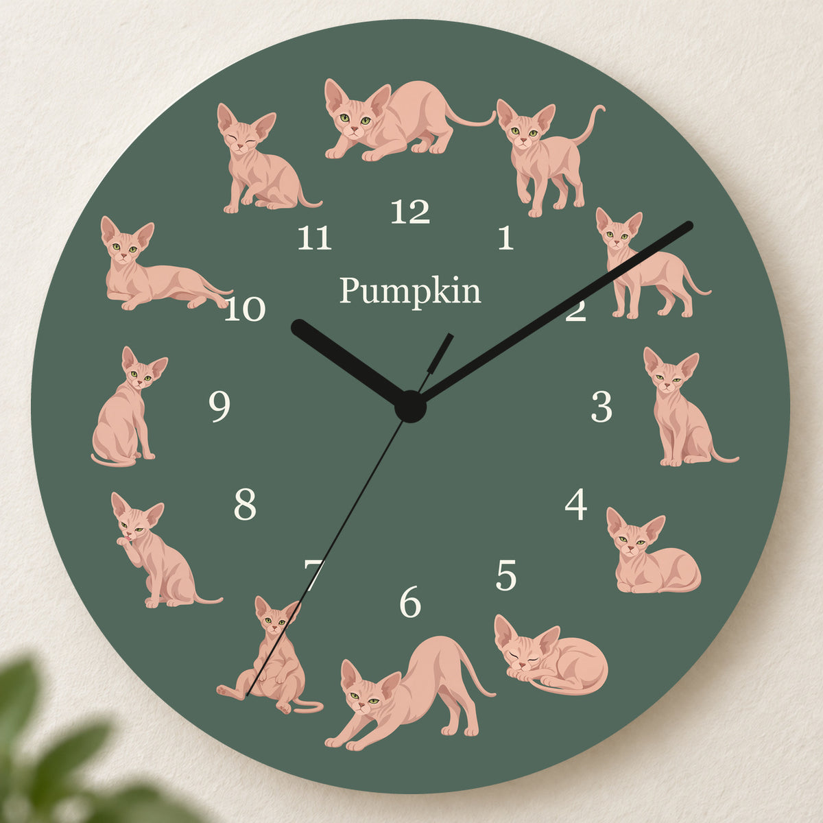 Personalized Sphynx Cat Wall Clock, Custom Pet Name, 11.6 Inch Wooden Clock — Deep Sage background