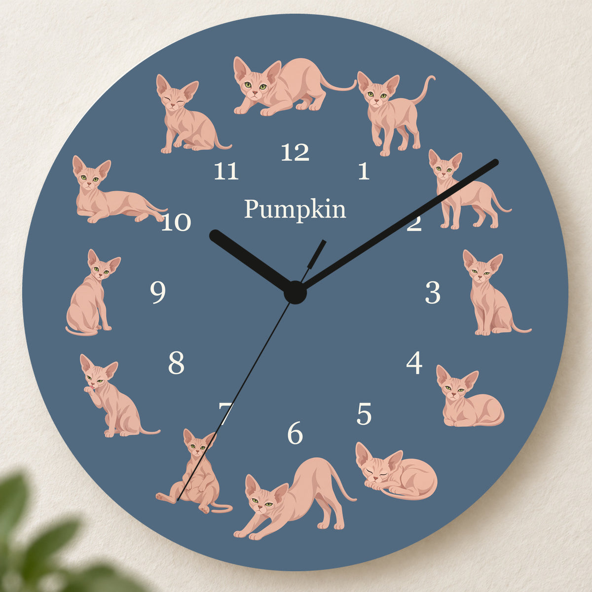 Personalized Sphynx Cat Wall Clock, Custom Pet Name, 11.6 Inch Wooden Clock — Muted Denim background