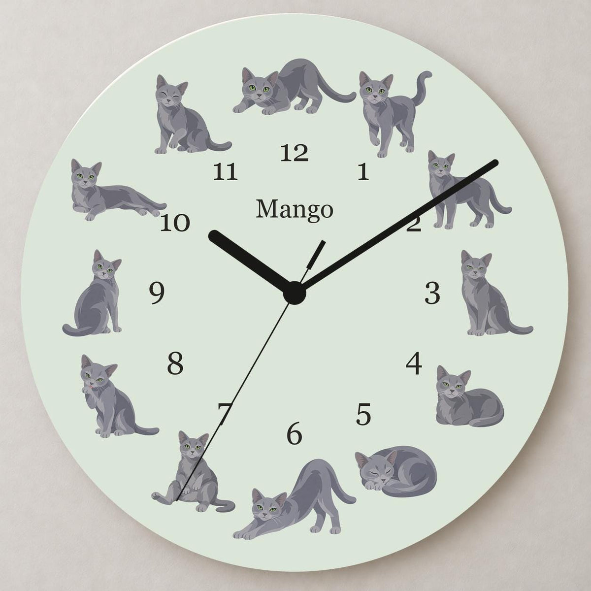 Personalized Russian Blue Cat wooden wall clock with example name Mango; close up