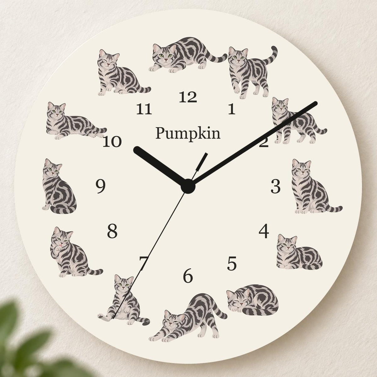 Personalized American Shorthair Cat wooden wall clock with example name Pumpkin; hero