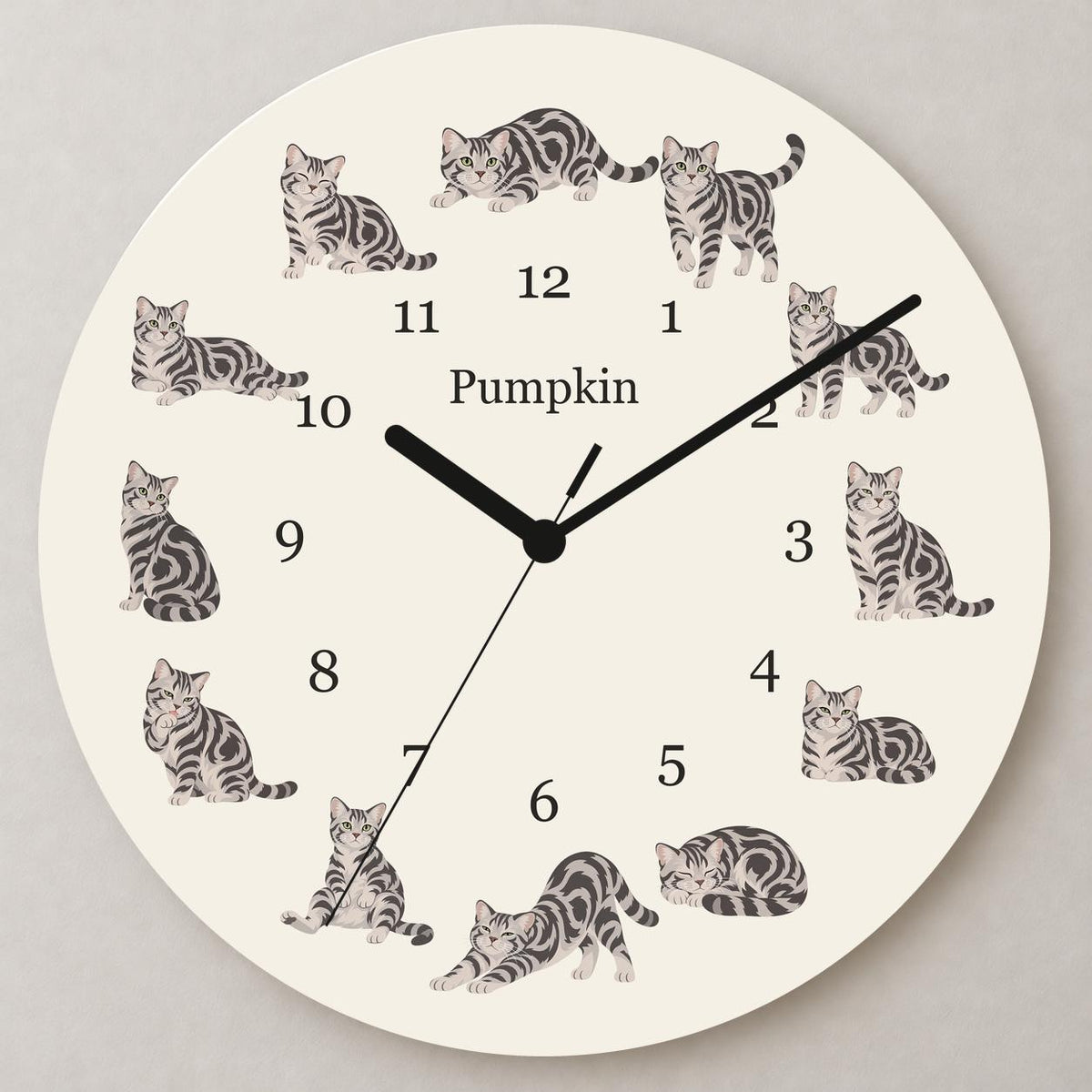 Personalized American Shorthair Cat wooden wall clock with example name Pumpkin; close up