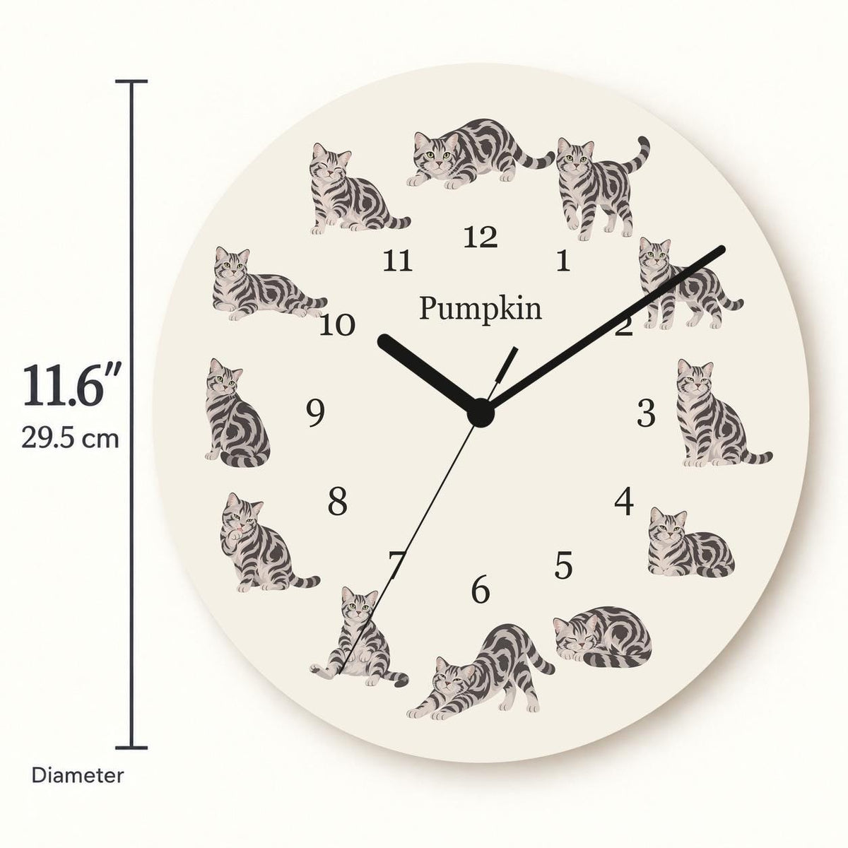 Personalized American Shorthair Cat wooden wall clock with example name Pumpkin; size