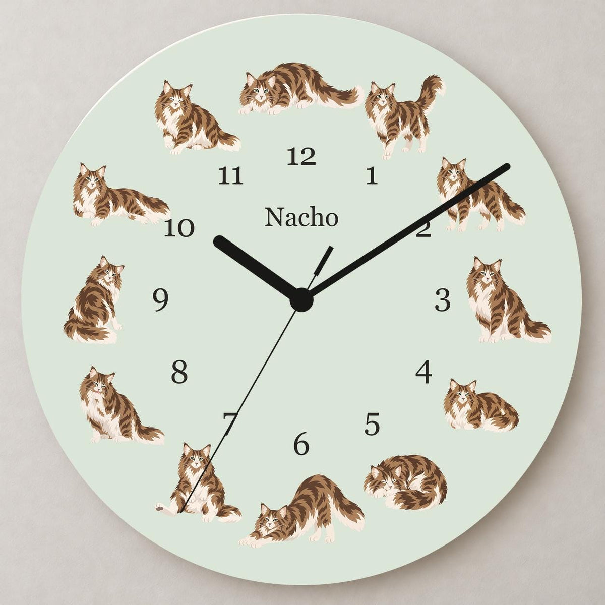 Personalized Norwegian Forest Cat Cat wooden wall clock with example name Nacho; close up