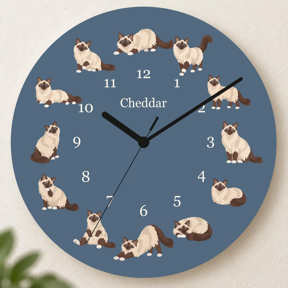 Personalized Birman Cat wooden wall clock with example name Cheddar; hero