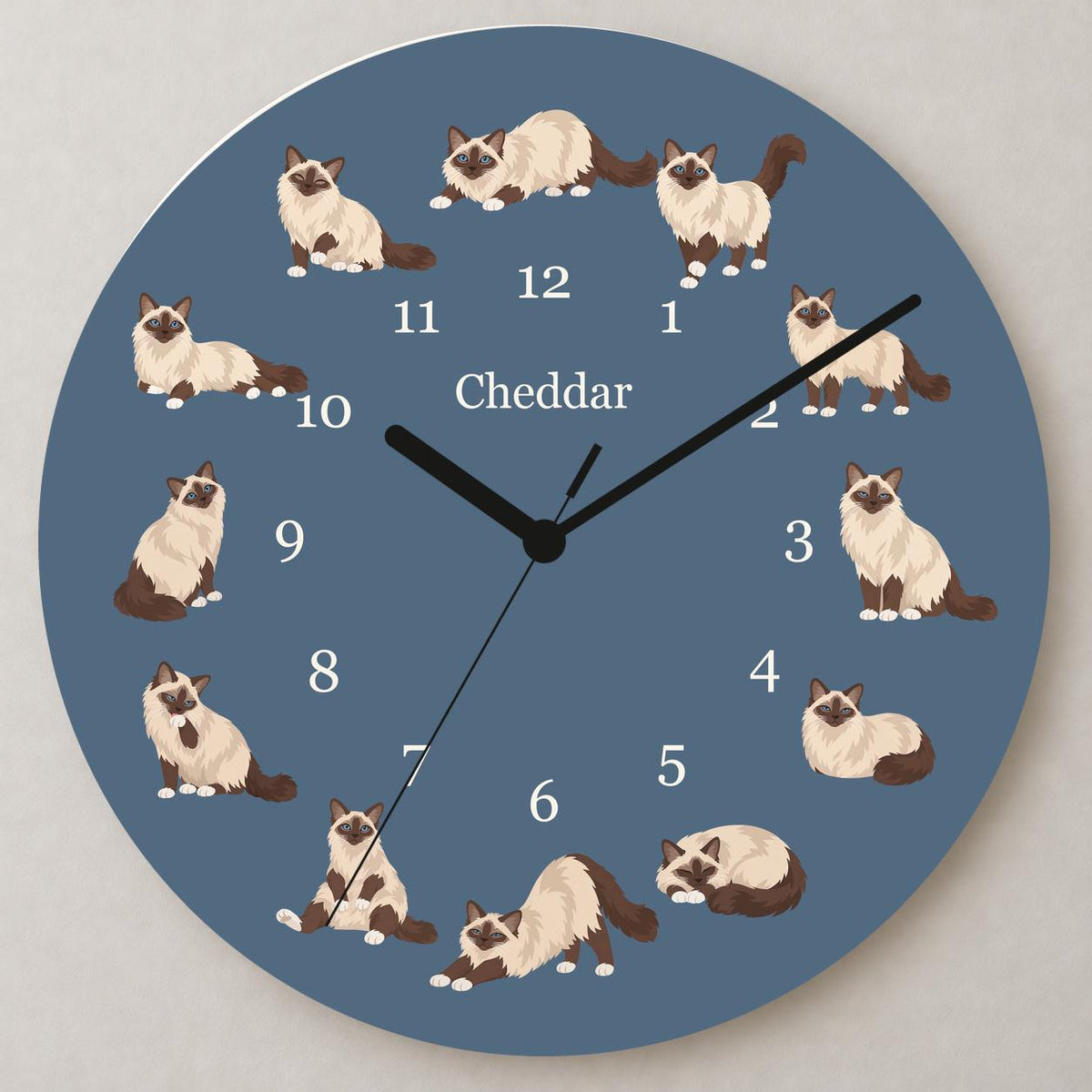 Personalized Birman Cat wooden wall clock with example name Cheddar; close up
