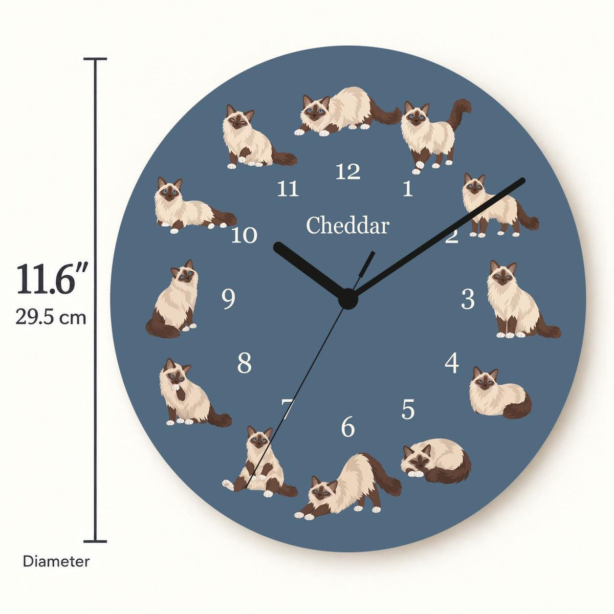 Personalized Birman Cat wooden wall clock with example name Cheddar; size
