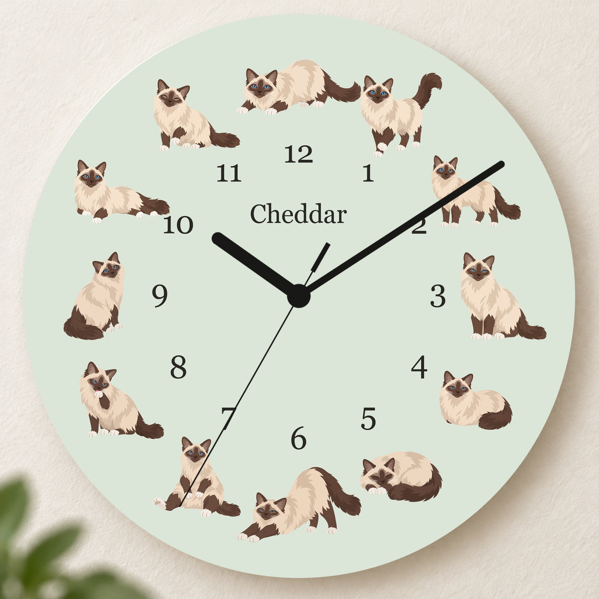 Personalized Birman Cat Wall Clock, Custom Pet Name, 11.6 Inch Wooden Clock — Pale Sage background