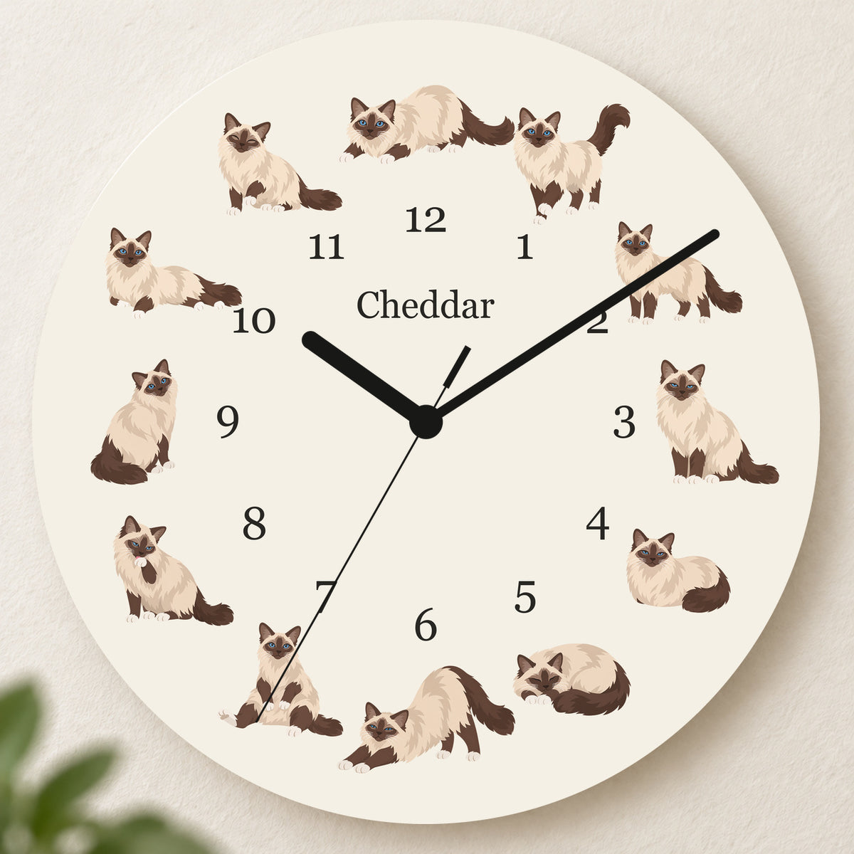 Personalized Birman Cat Wall Clock, Custom Pet Name, 11.6 Inch Wooden Clock — Warm Ivory background