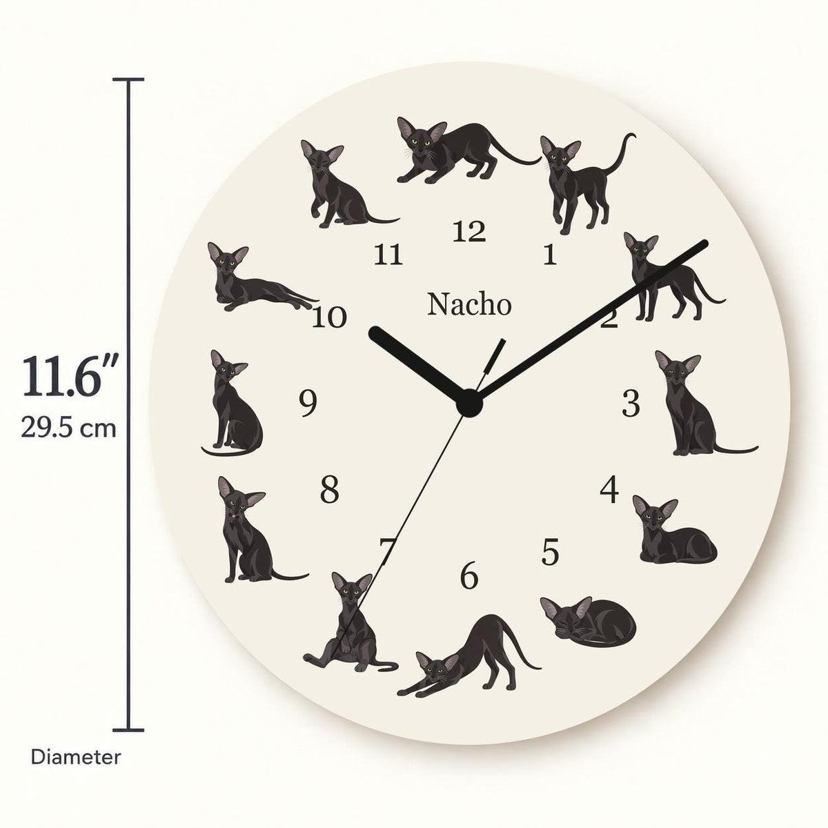 Personalized Oriental Cat wooden wall clock with example name Nacho; size