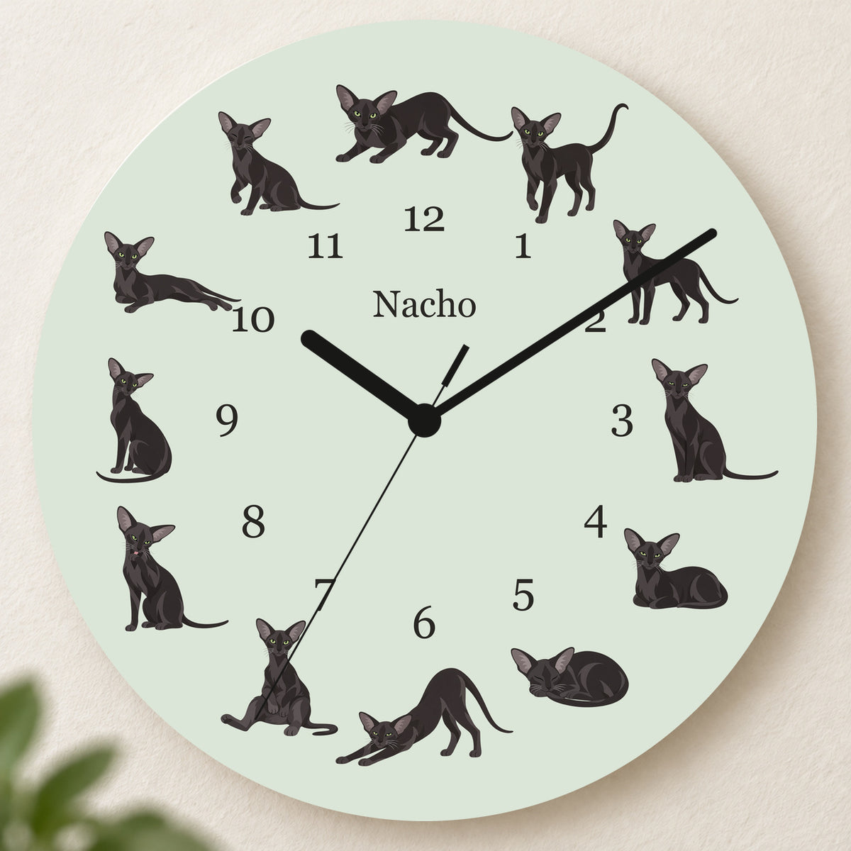 Personalized Oriental Cat Wall Clock, Custom Pet Name, 11.6 Inch Wooden Clock — Pale Sage background