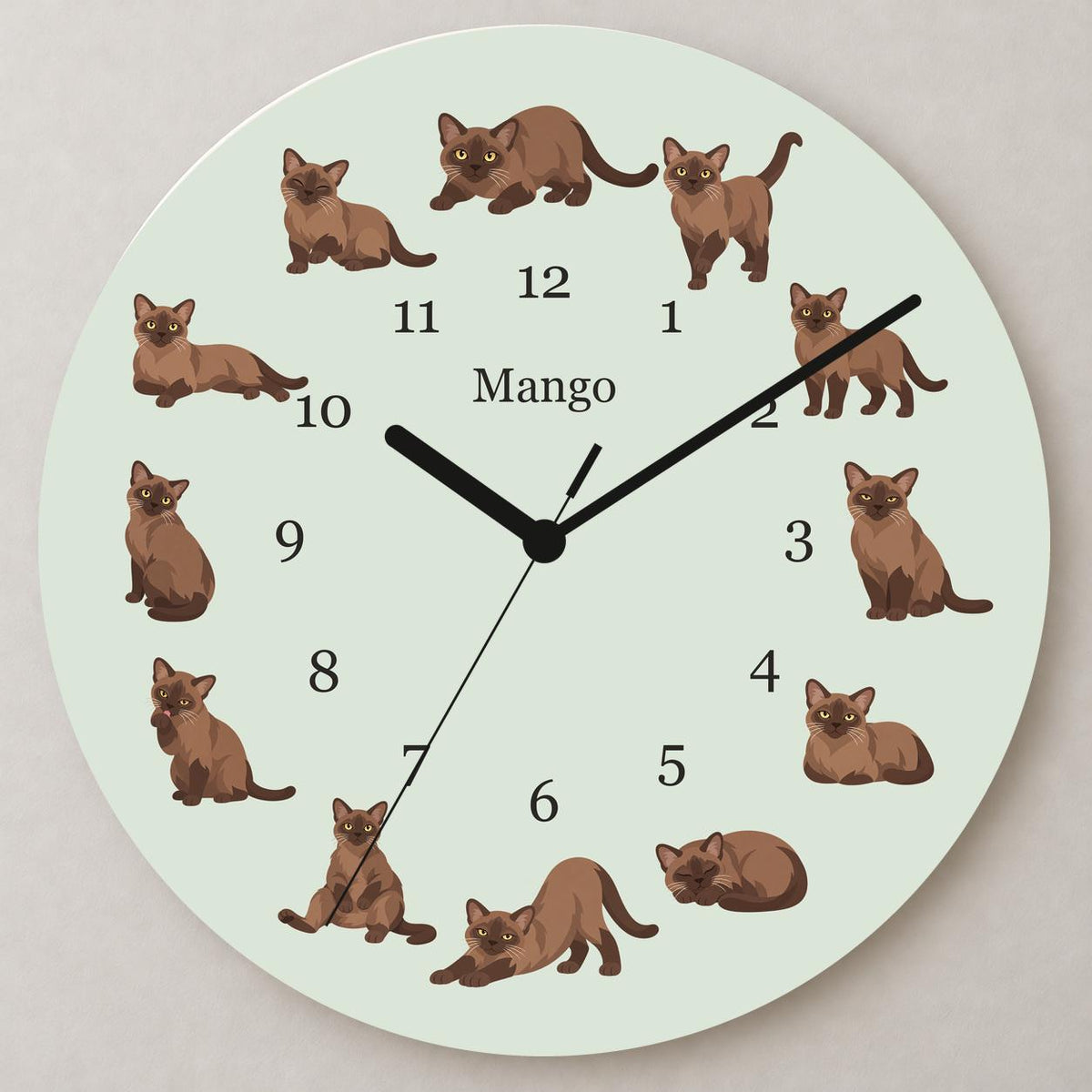 Personalized Burmese Cat wooden wall clock with example name Mango; close up