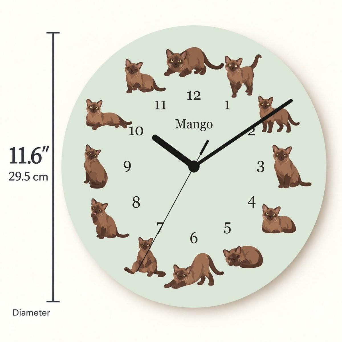 Personalized Burmese Cat wooden wall clock with example name Mango; size