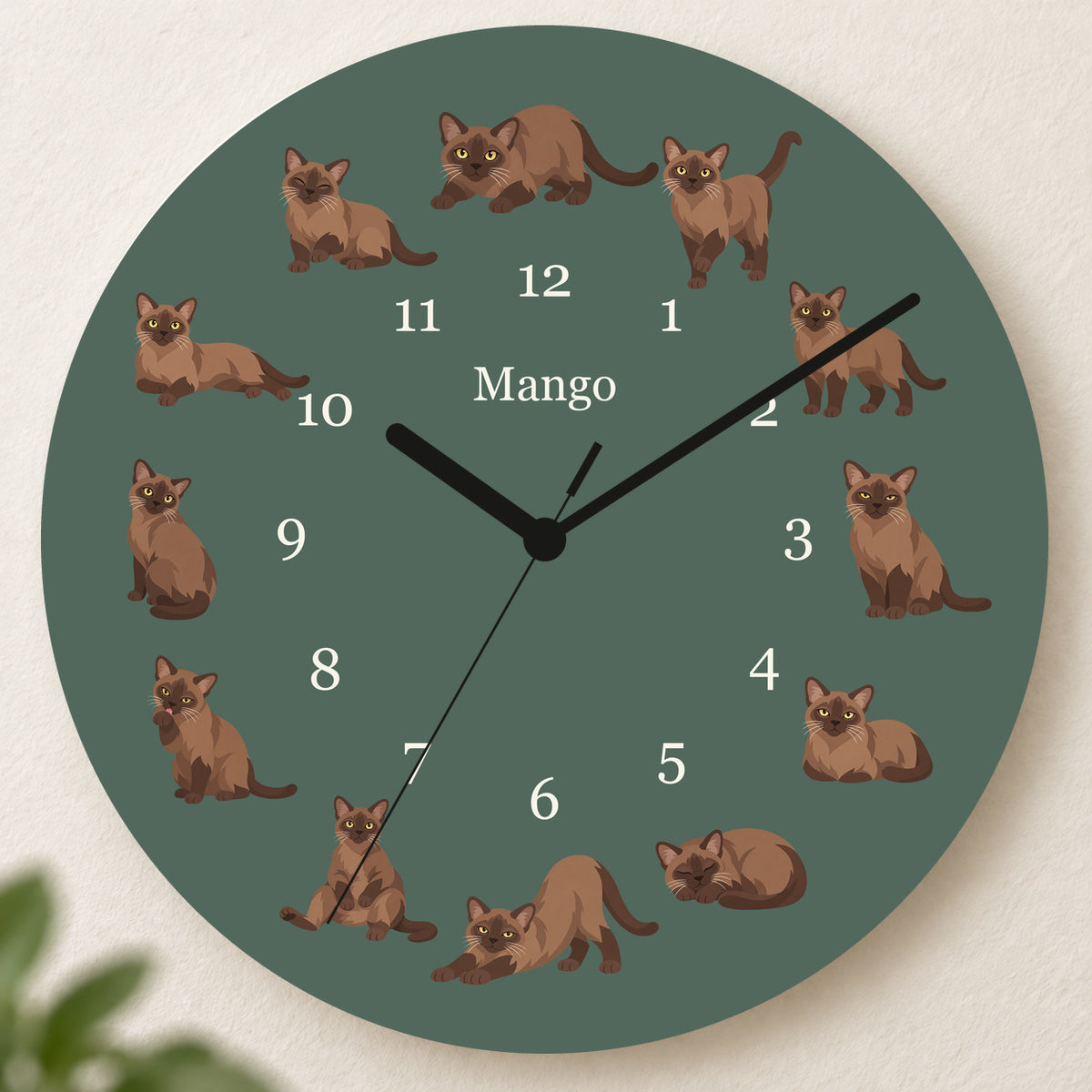 Personalized Burmese Cat Wall Clock, Custom Pet Name, 11.6 Inch Wooden Clock — Deep Sage background