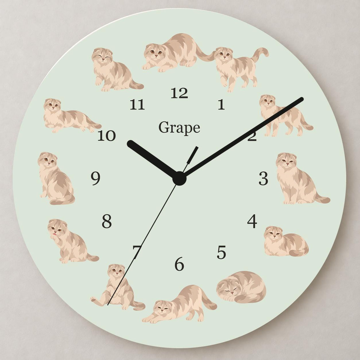 Personalized Scottish Fold Cat wooden wall clock with example name Grape; close up