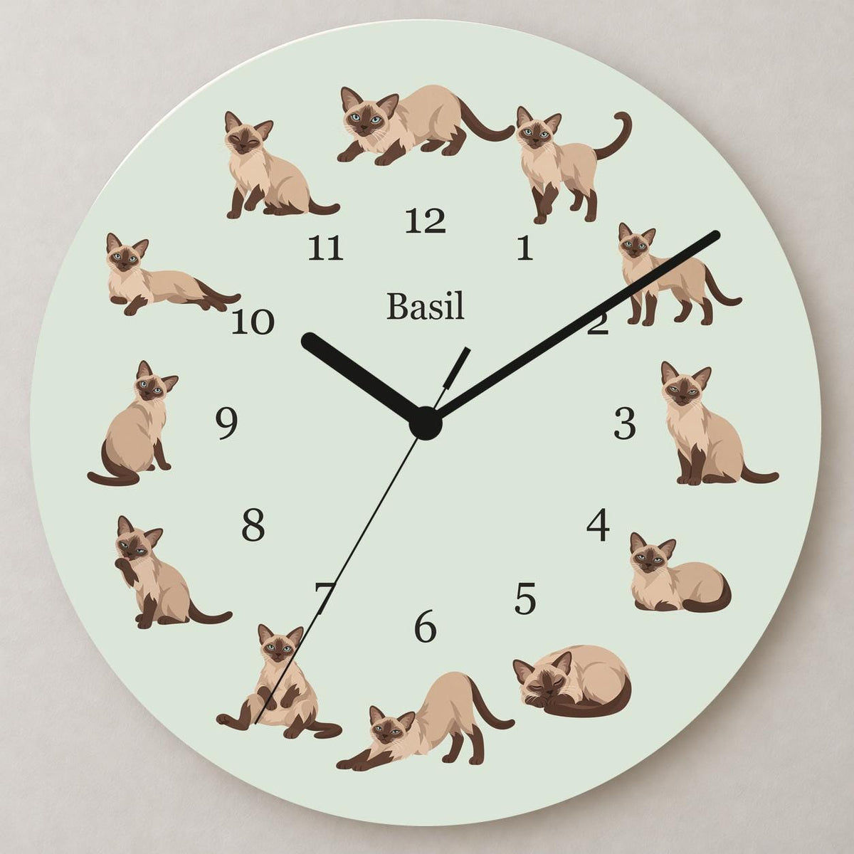 Personalized Tonkinese Cat wooden wall clock with example name Basil; close up