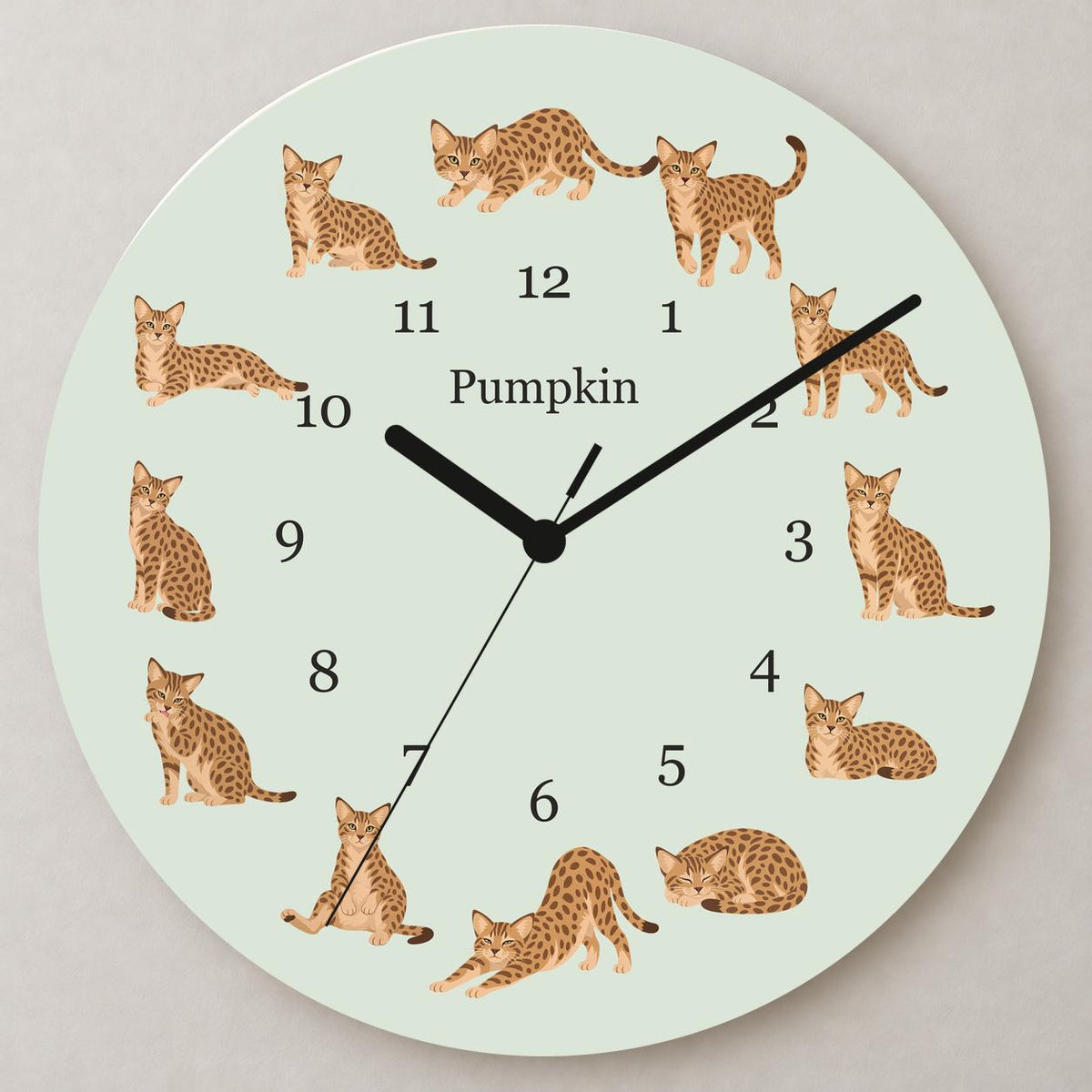 Personalized Ocicat Cat wooden wall clock with example name Pumpkin; close up