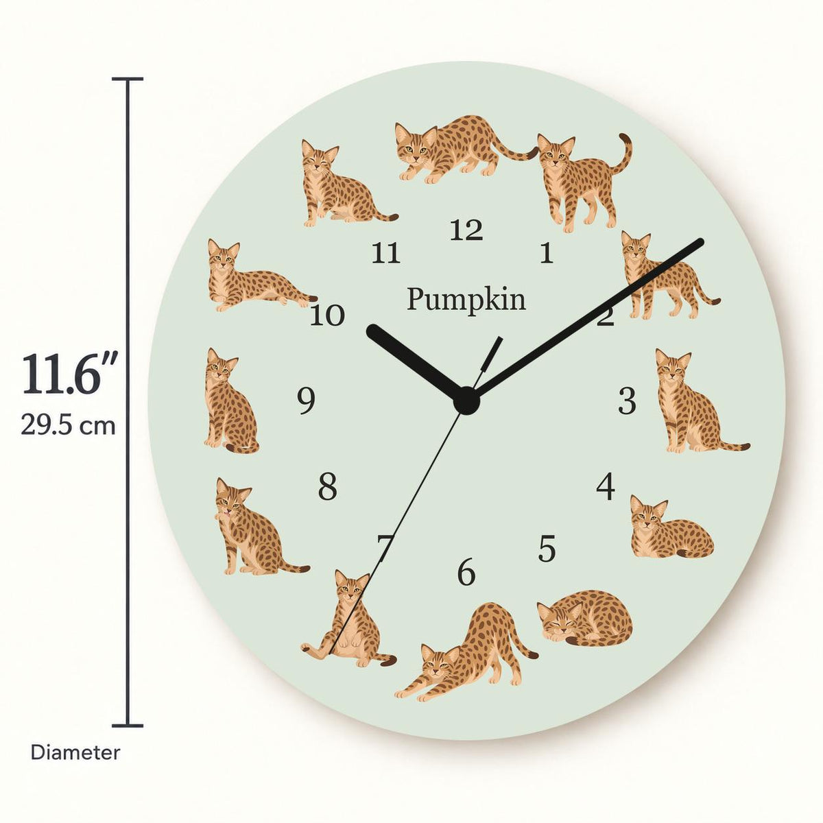 Personalized Ocicat Cat wooden wall clock with example name Pumpkin; size