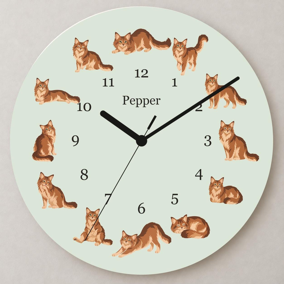 Personalized Somali Cat wooden wall clock with example name Pepper; close up