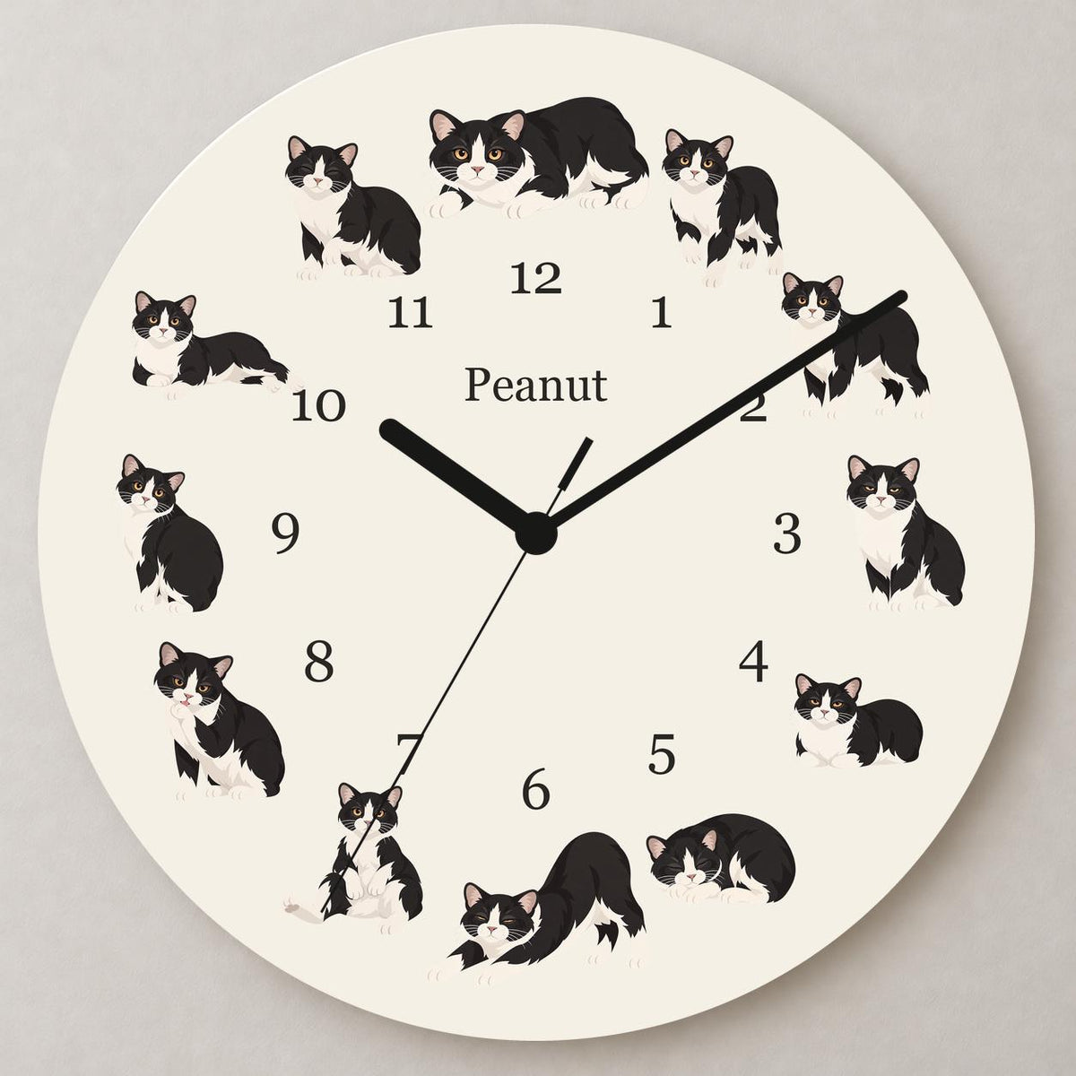Personalized Manx Cat wooden wall clock with example name Peanut; close up