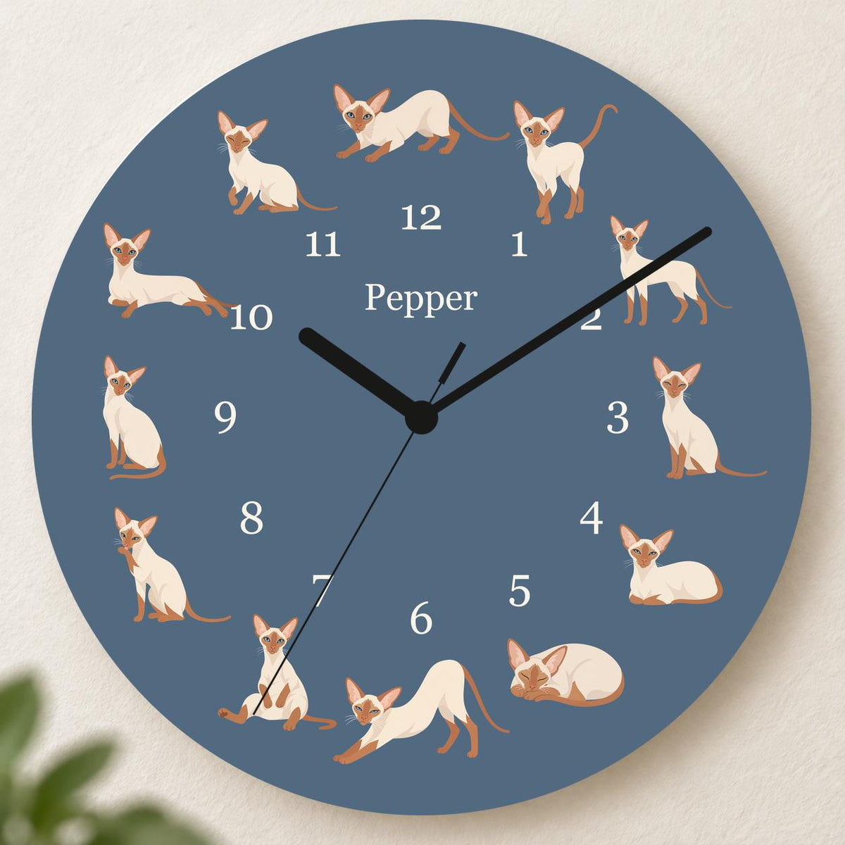 Personalized Colorpoint Shorthair Cat wooden wall clock with example name Pepper; hero