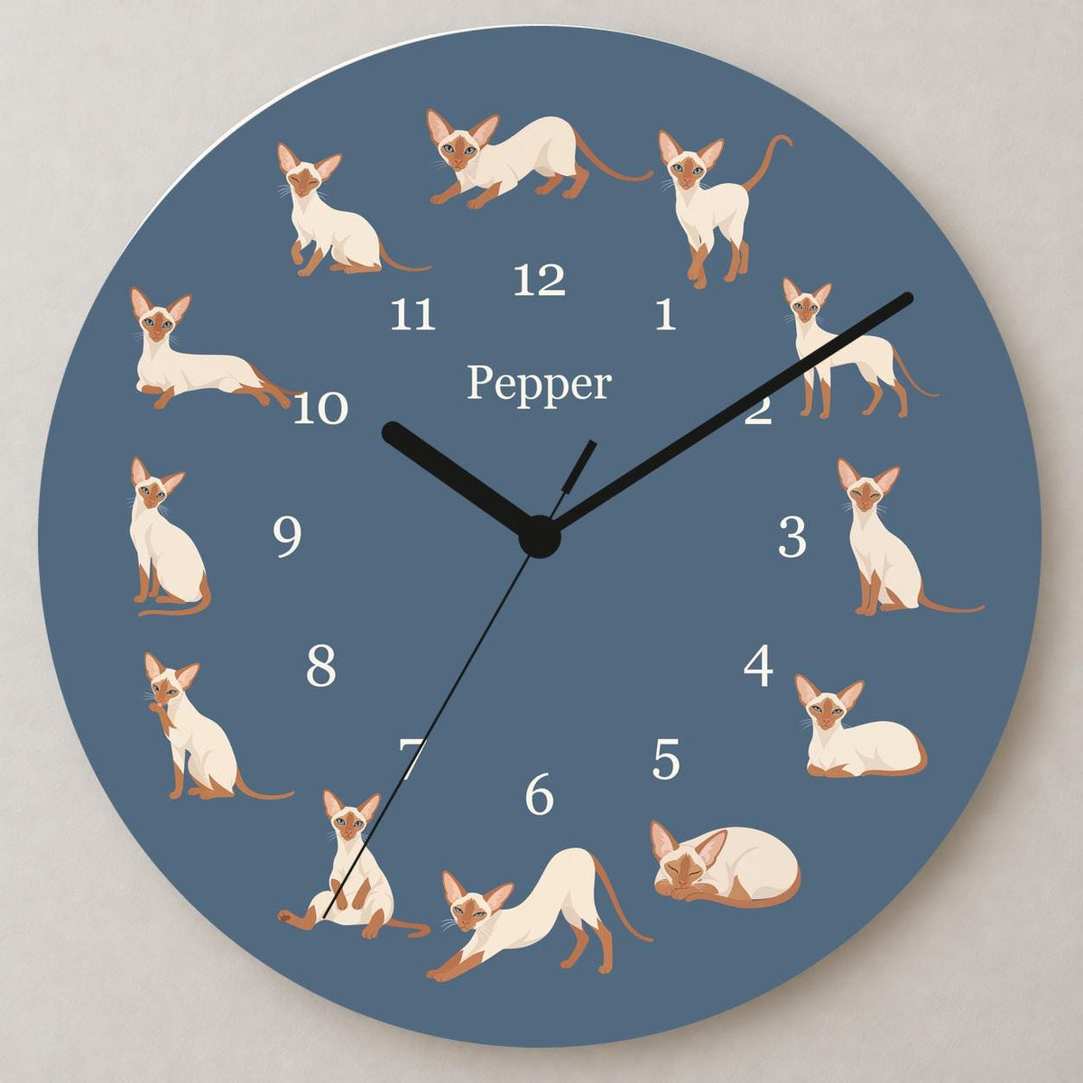 Personalized Colorpoint Shorthair Cat wooden wall clock with example name Pepper; close up
