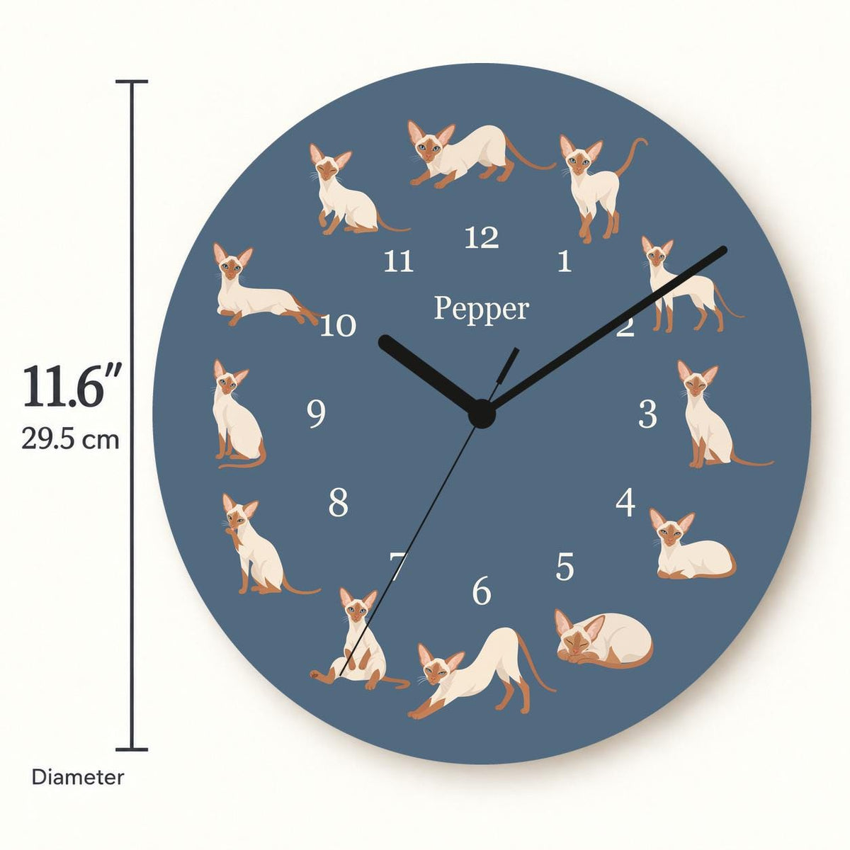 Personalized Colorpoint Shorthair Cat wooden wall clock with example name Pepper; size
