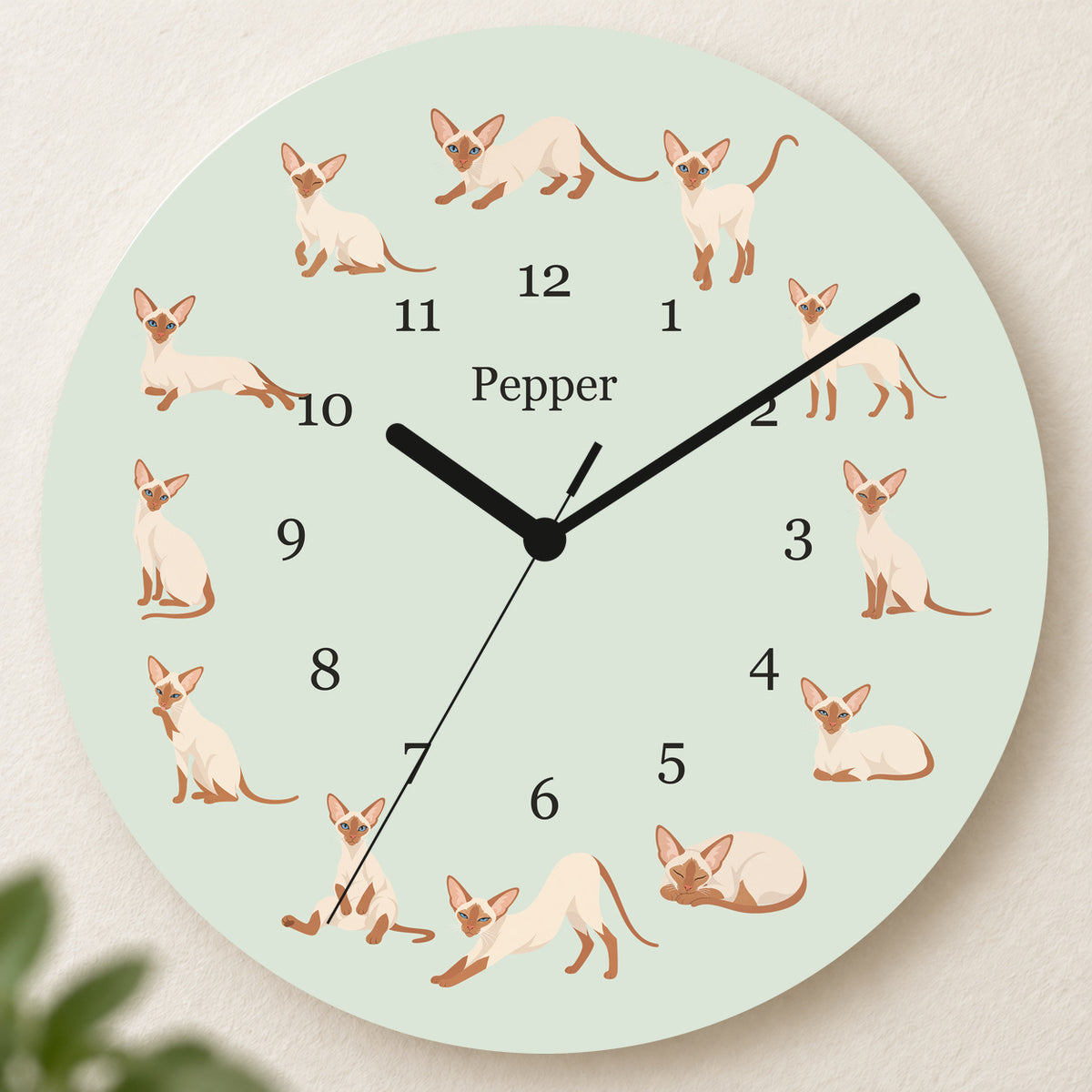 Personalized Colorpoint Shorthair Cat Wall Clock, Custom Pet Name, 11.6 Inch Wooden Clock — Pale Sage background