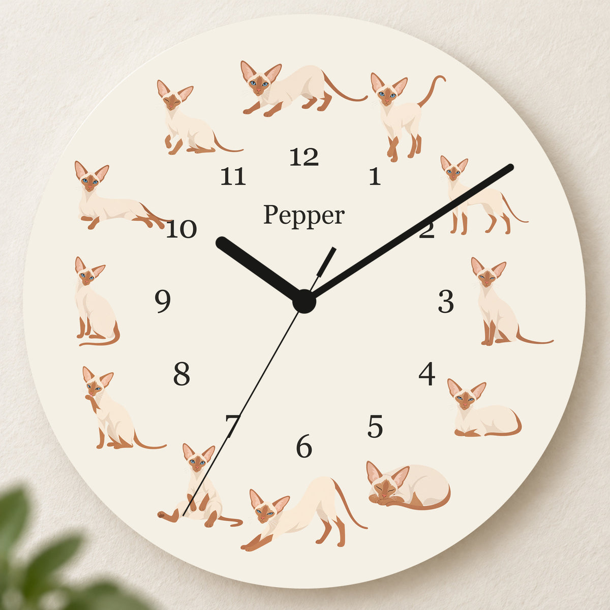 Personalized Colorpoint Shorthair Cat Wall Clock, Custom Pet Name, 11.6 Inch Wooden Clock — Warm Ivory background