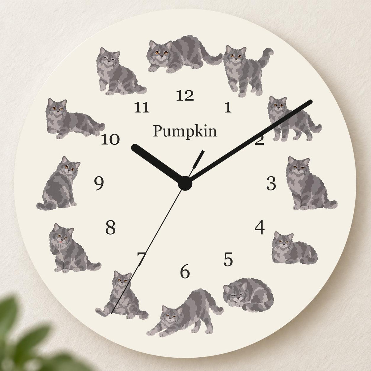 Personalized Selkirk Rex Cat wooden wall clock with example name Pumpkin; hero