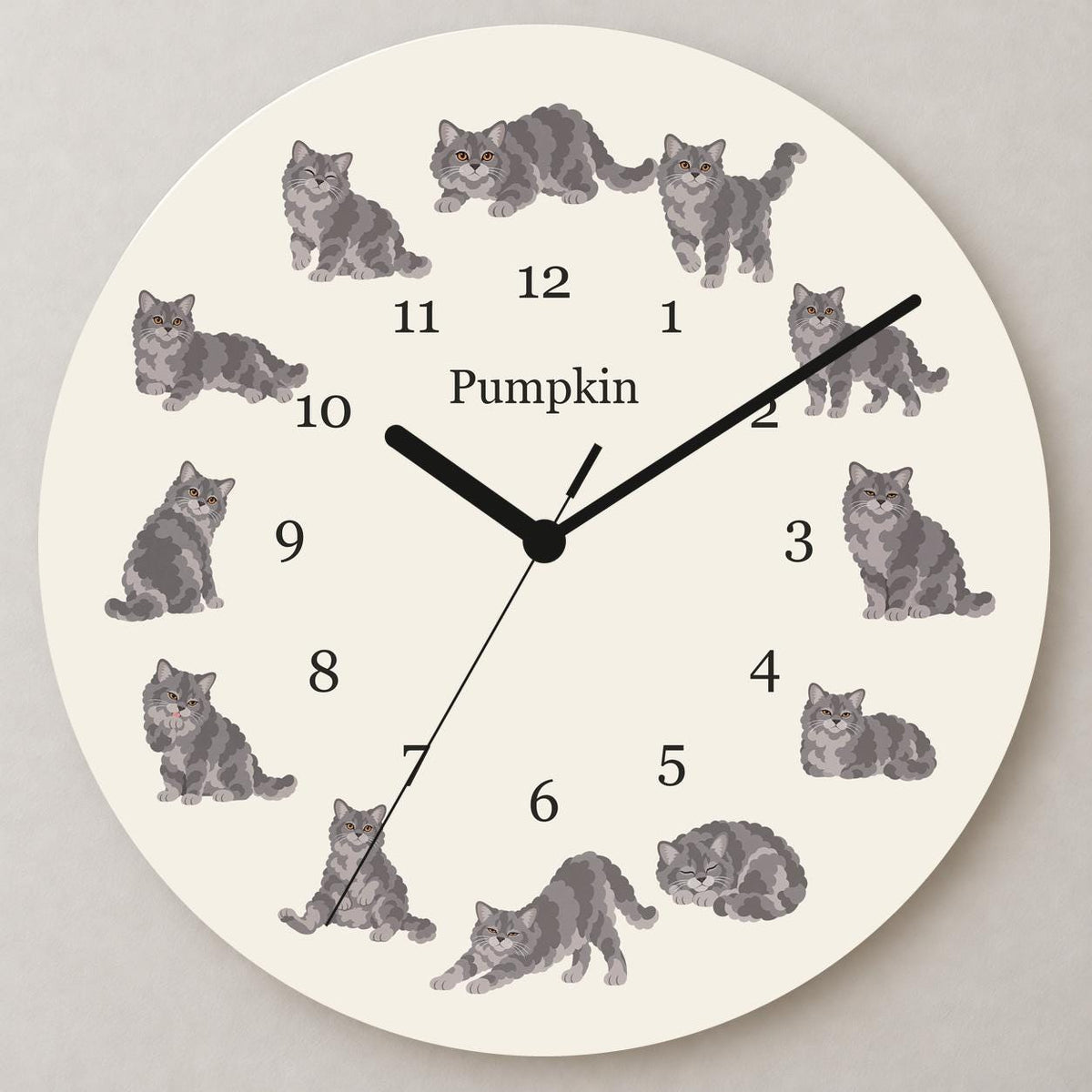 Personalized Selkirk Rex Cat wooden wall clock with example name Pumpkin; close up