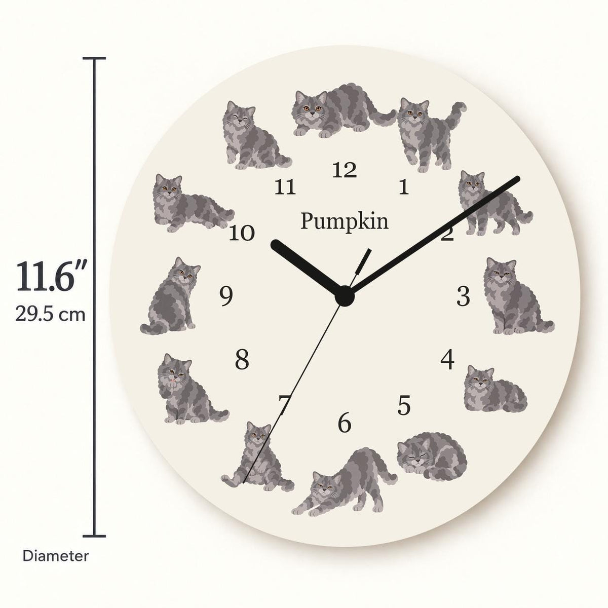 Personalized Selkirk Rex Cat wooden wall clock with example name Pumpkin; size