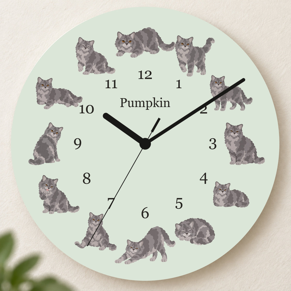 Personalized Selkirk Rex Cat Wall Clock, Custom Pet Name, 11.6 Inch Wooden Clock — Pale Sage background