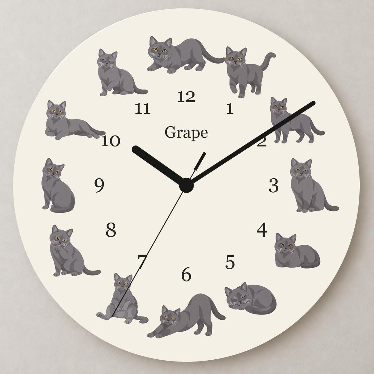 Personalized Chartreux Cat wooden wall clock with example name Grape; close up