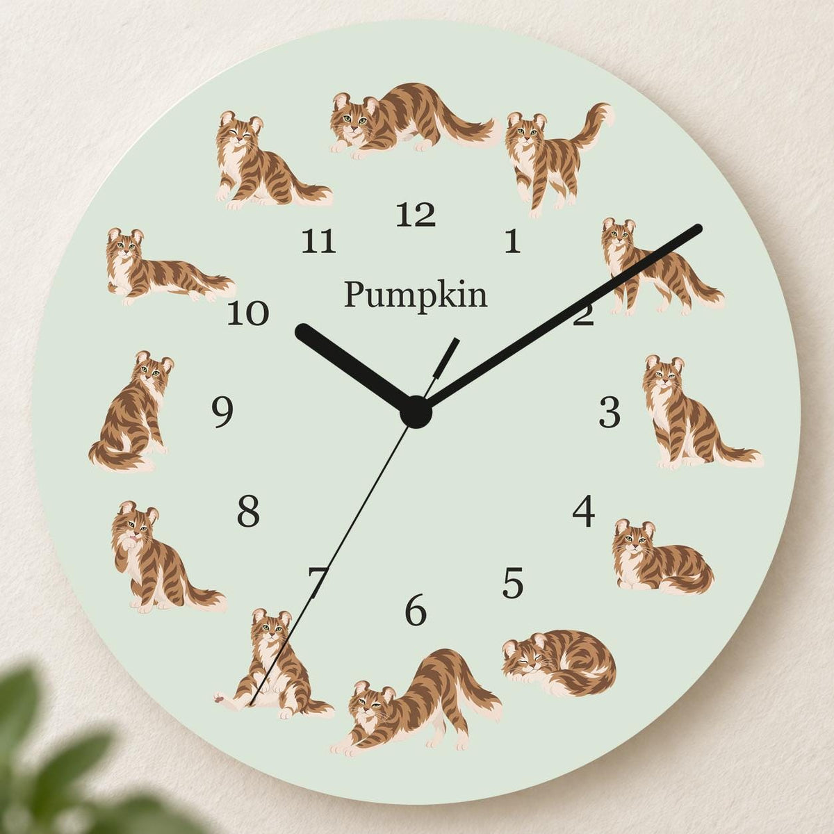 Personalized American Curl Cat wooden wall clock with example name Pumpkin; hero
