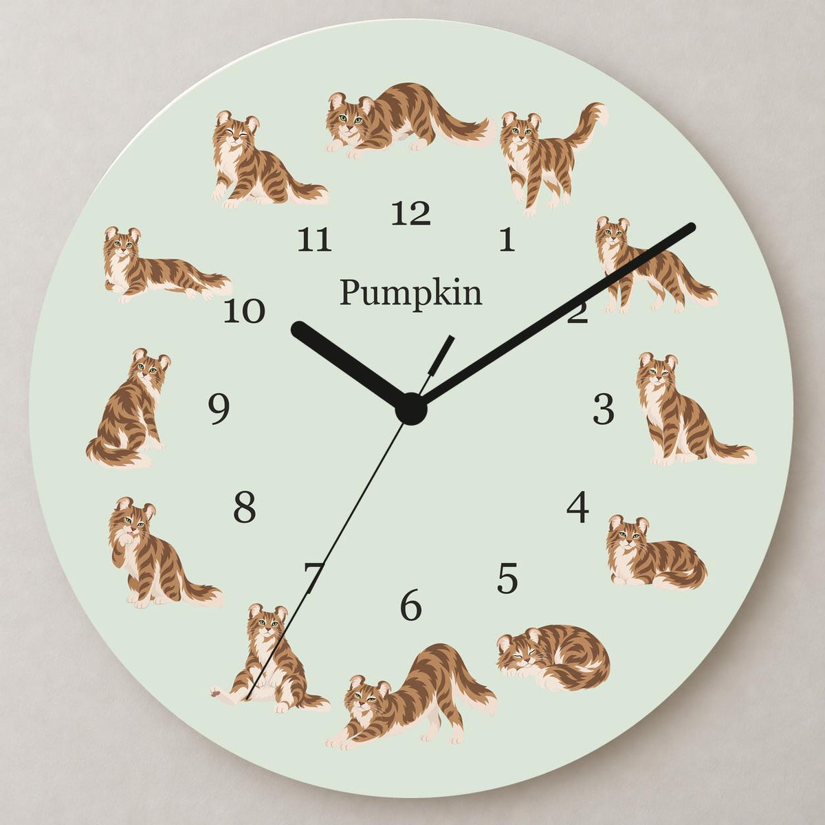 Personalized American Curl Cat wooden wall clock with example name Pumpkin; close up