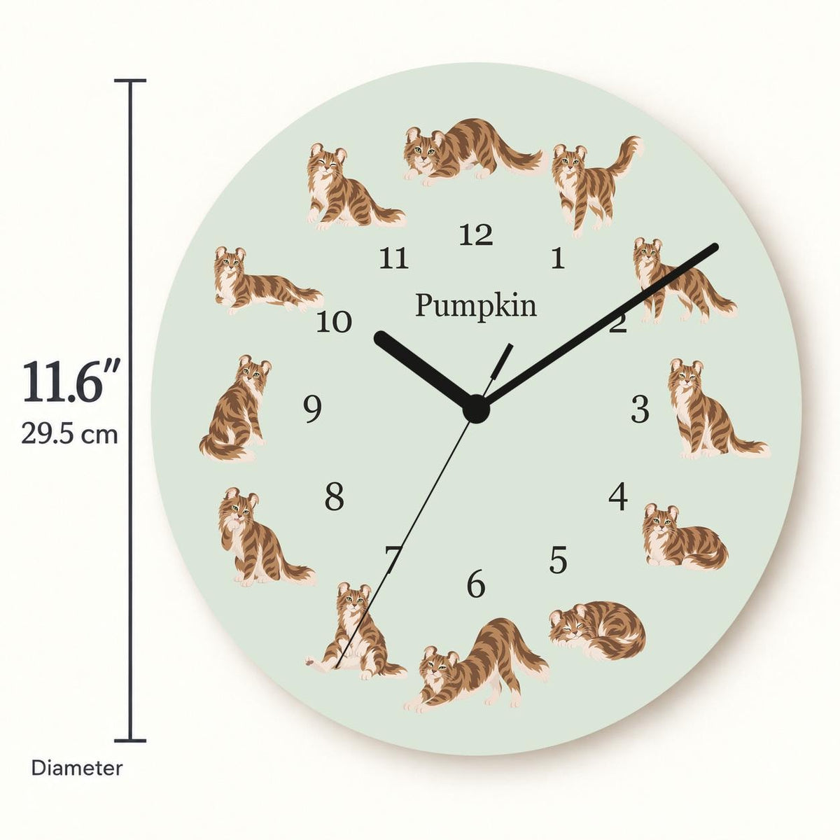 Personalized American Curl Cat wooden wall clock with example name Pumpkin; size