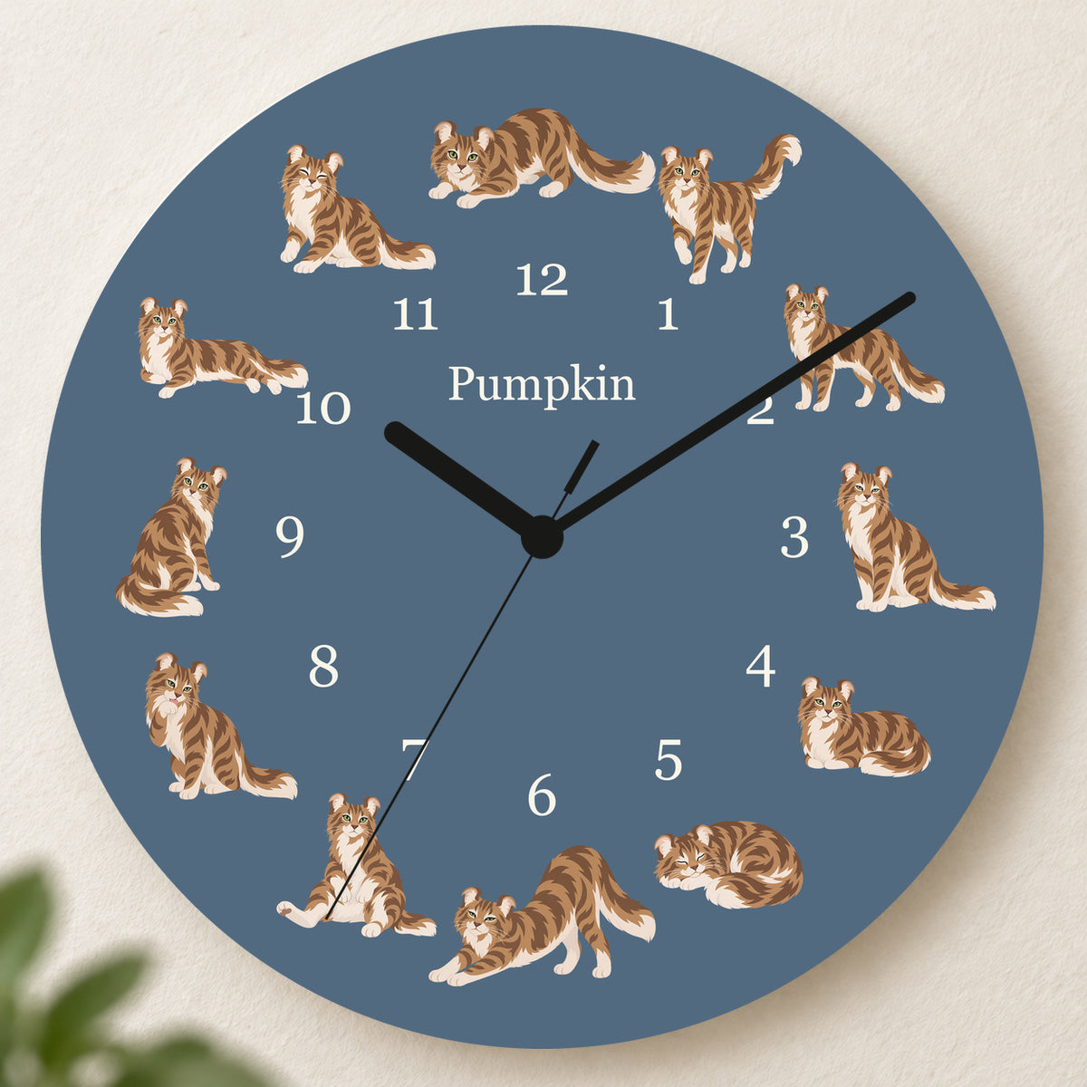 Personalized American Curl Cat Wall Clock, Custom Pet Name, 11.6 Inch Wooden Clock — Muted Denim background