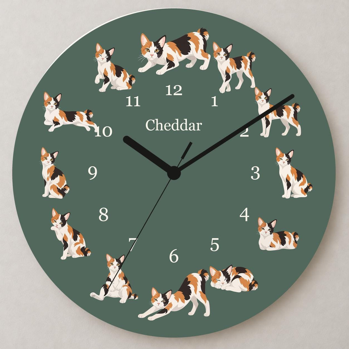 Personalized Japanese Bobtail Cat wooden wall clock with example name Cheddar; close up