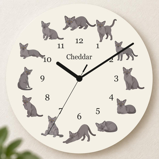 Personalized European Burmese Cat wooden wall clock with example name Cheddar; hero